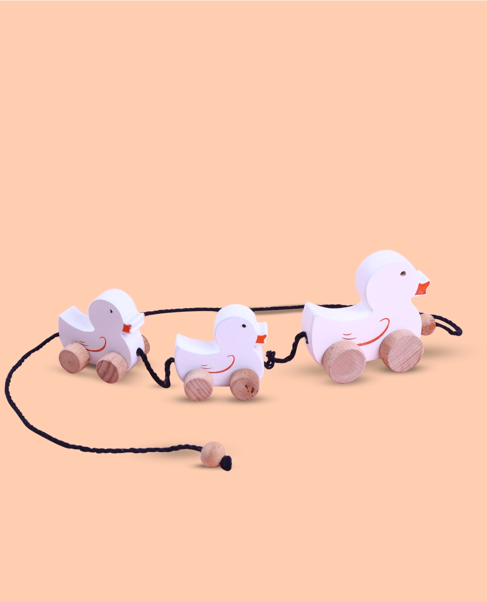 Wooden Duck Family