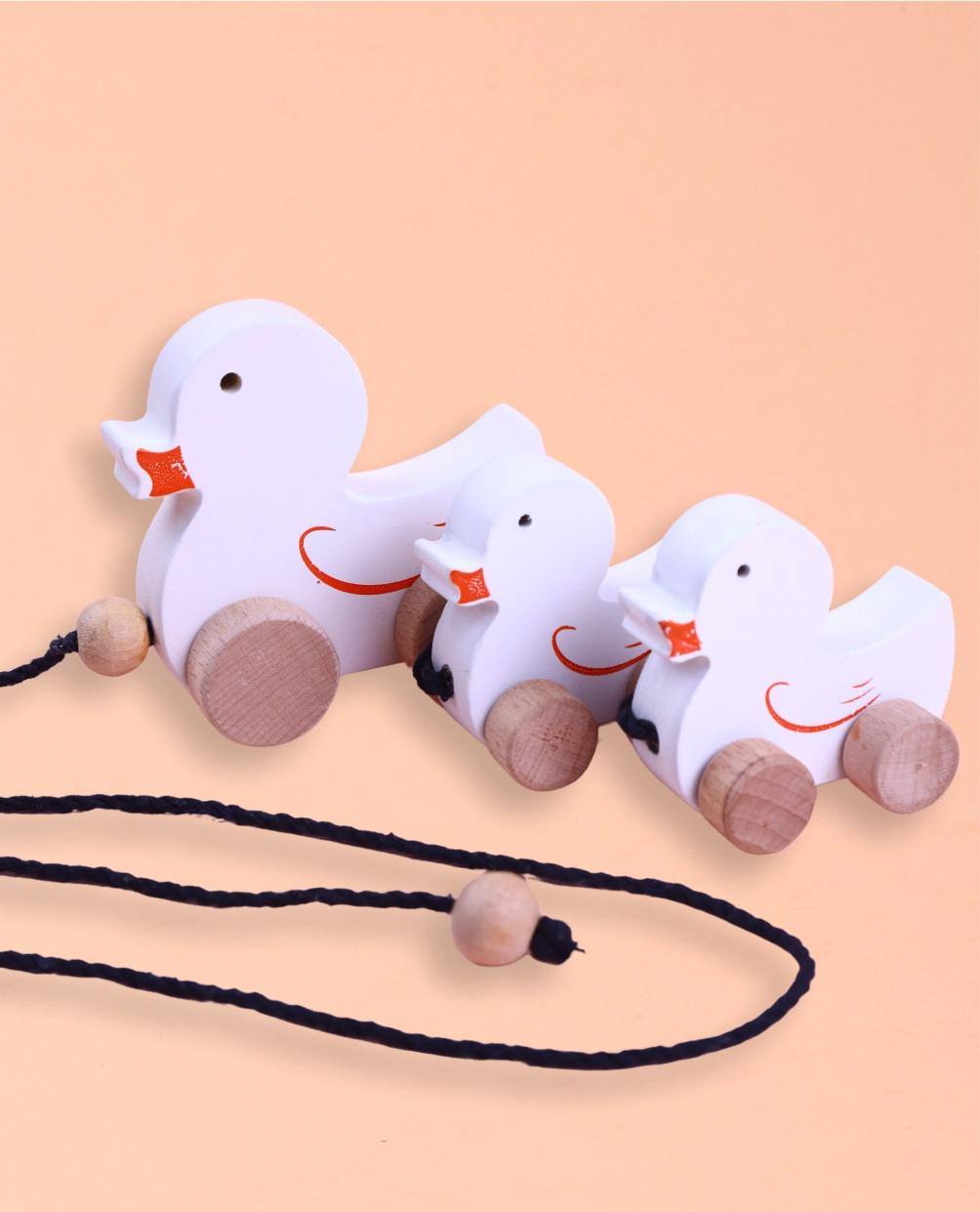 Wooden Duck Family