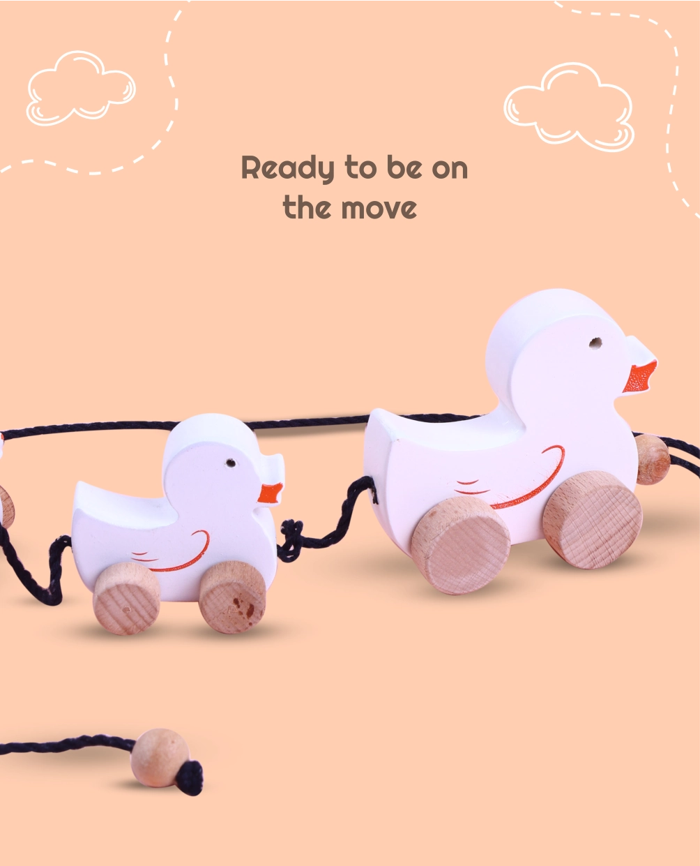Wooden Duck Family