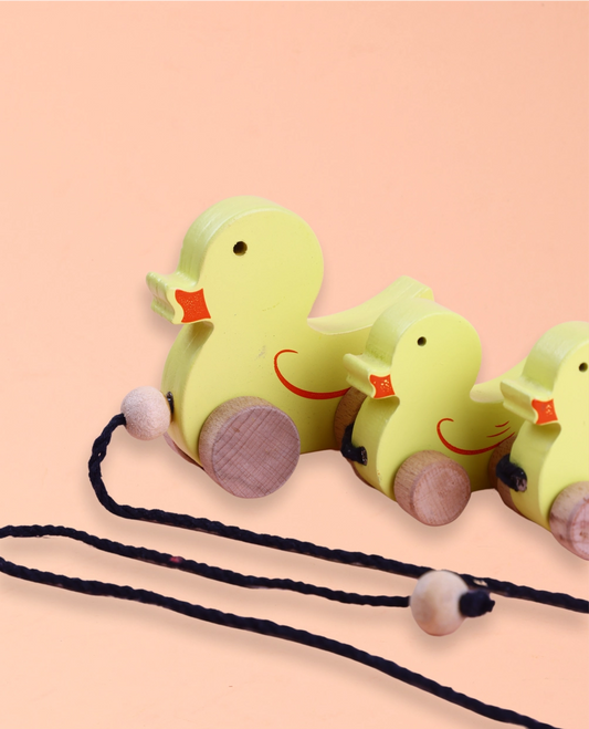 Wooden Duck Family Yellow
