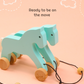 Wooden Horse-Turquoise Colour