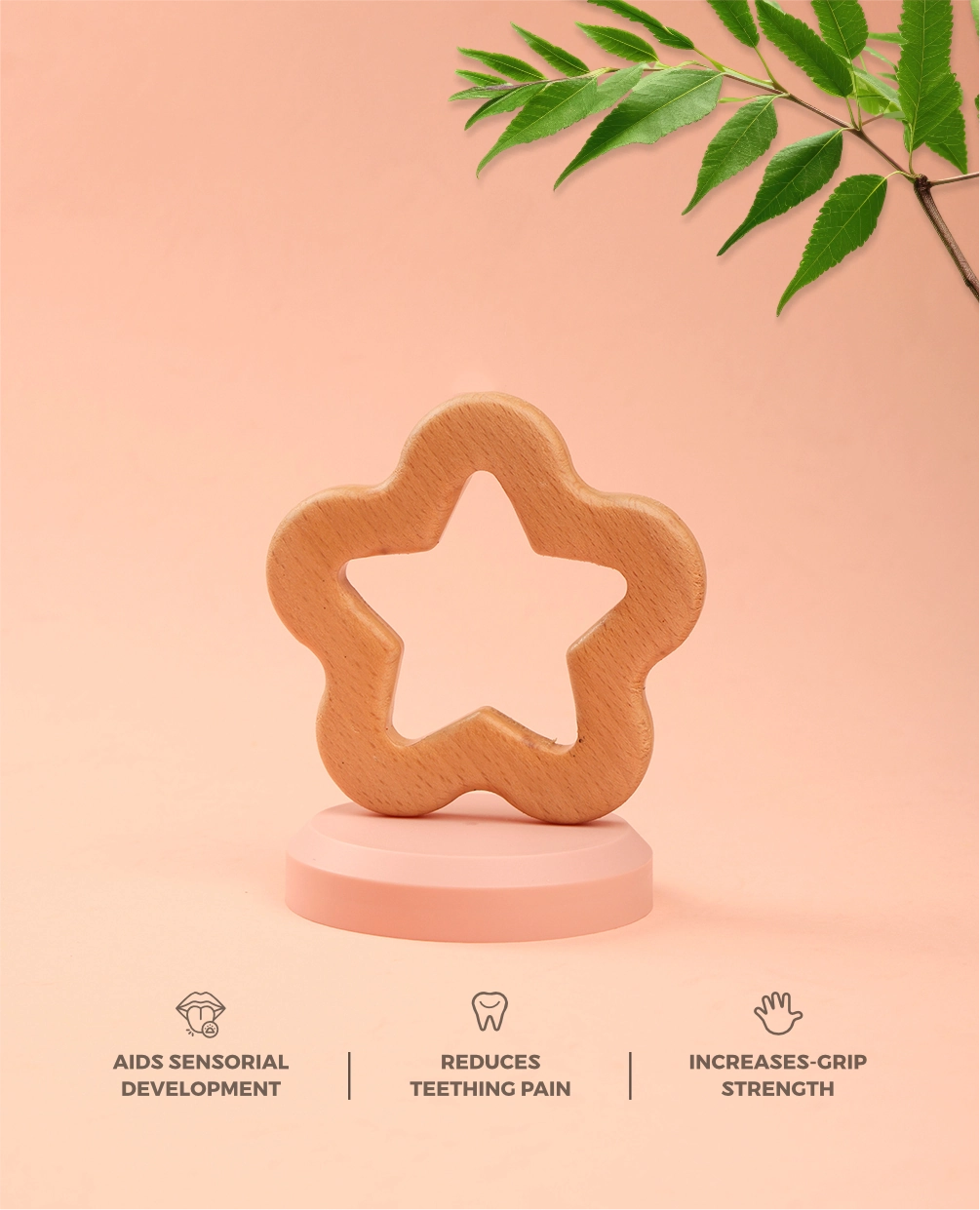 Star Teether (Neem Wood)